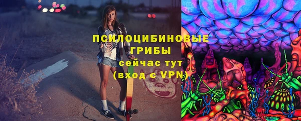 МДМА Алексеевка