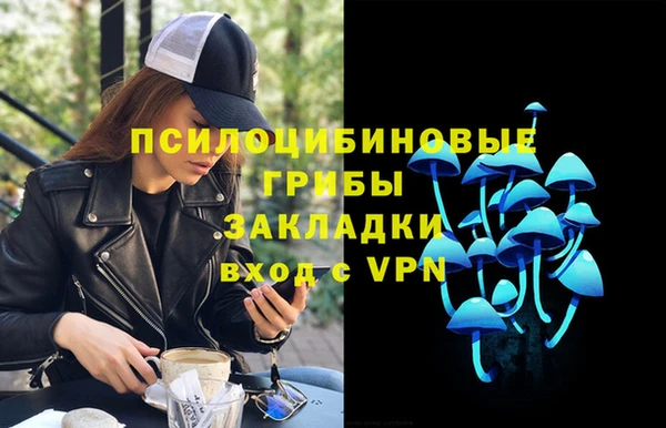 спайс Алзамай
