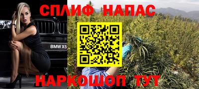 дмт Малгобек