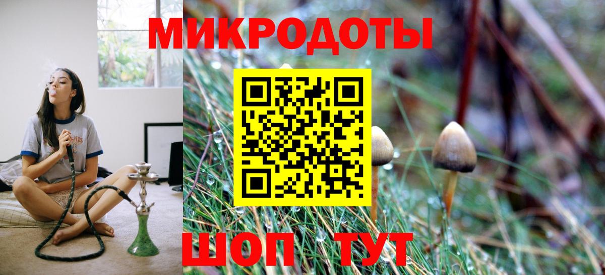 Псилоцибиновые грибы прущие грибы Ефремов