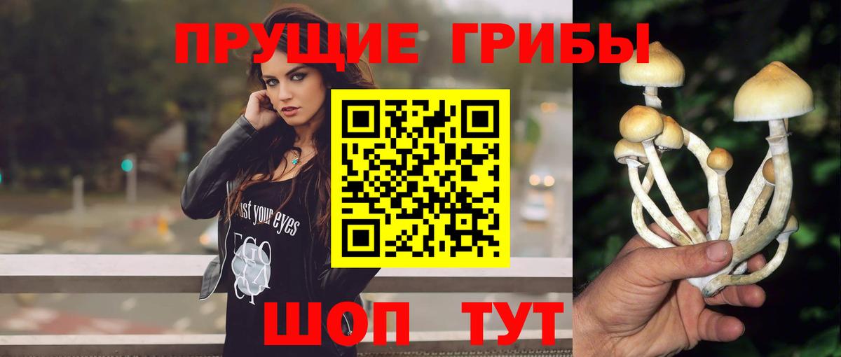 Псилоцибиновые грибы GOLDEN TEACHER  Псилоцибиновые грибы GOLDEN TEACHER  Вход с VPN  Ефремов 